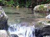 Bosque Estatal de Toro Negro - OROCOVIS, JAYUYA, JUANA DÍAZ